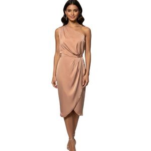 Pretty Garden Blush Pink One Shoulder Sheath Dress Size Small NWT